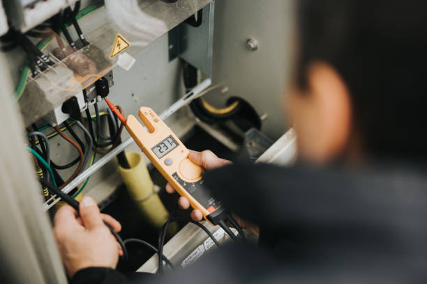 Best Electrical Panel Upgrades  in Cedar Grove, WI